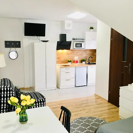 ゲストハウス Kamilowka ラプカ